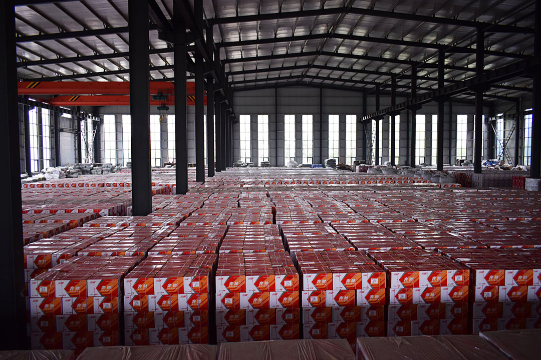Factory inspection line