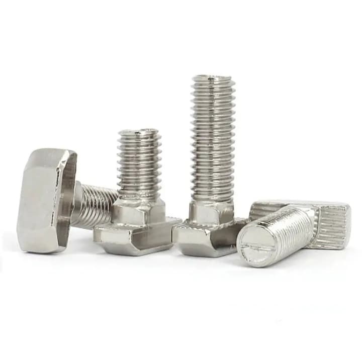 Din1055 Stainless Steel T Bolt Product