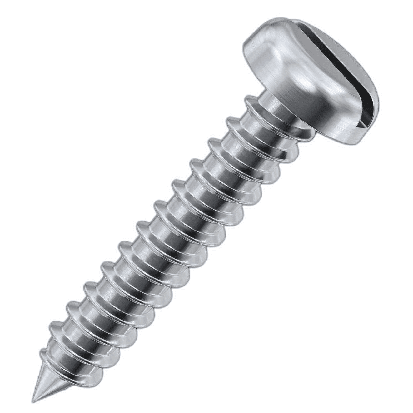 Pan Head Slot Self Tapping Screw