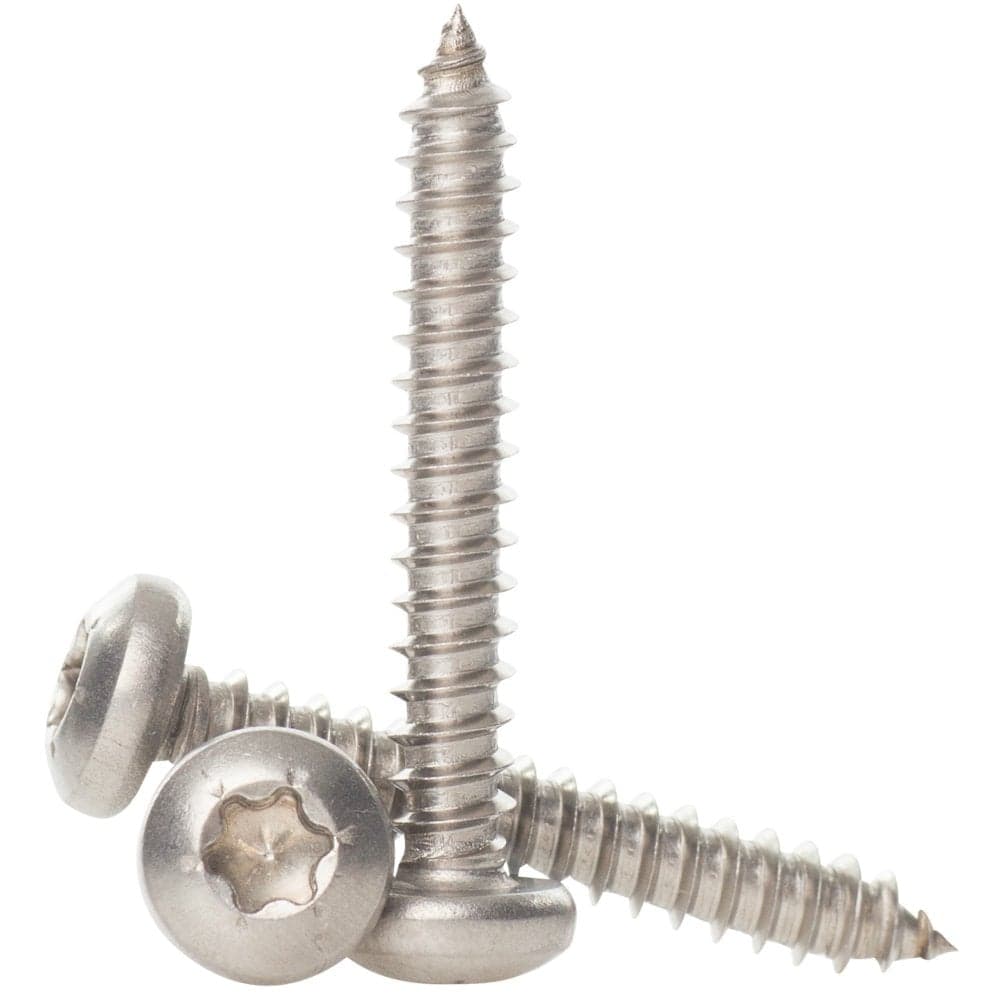 Pan Head Torx Self Tapping Screw